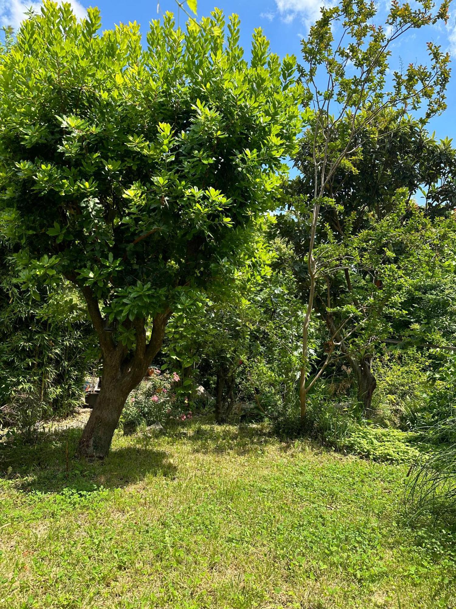 Appartamento Secret Garden House Laurana Esterno foto
